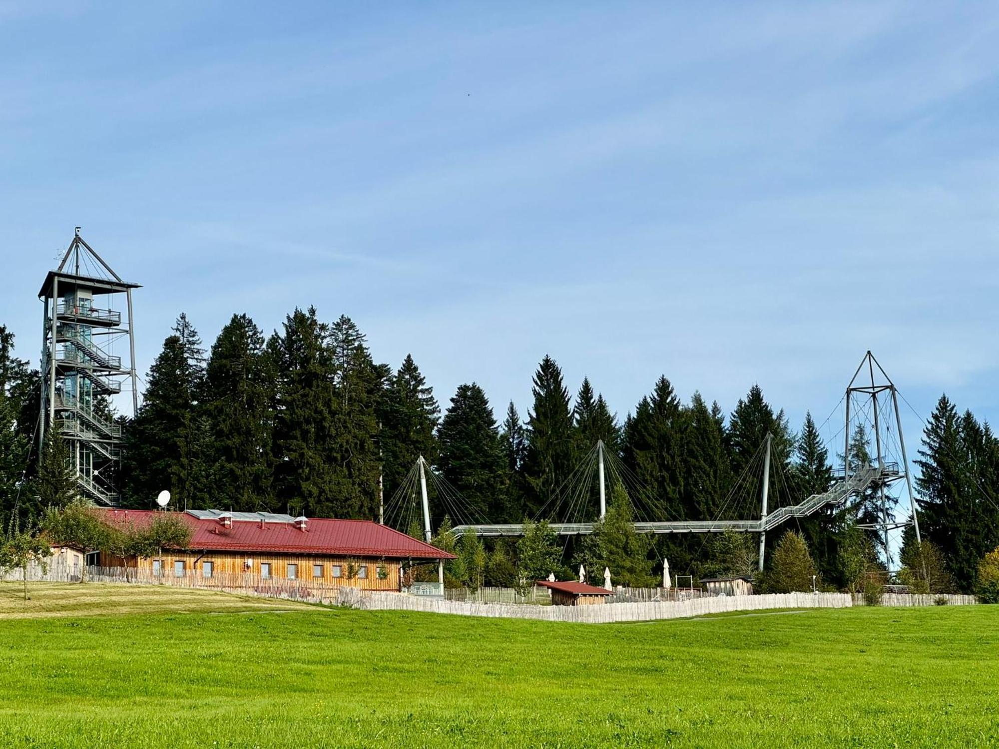Appartamento Jj Living - Alpenblick Scheidegg Esterno foto